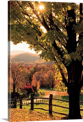 Fall landscape , Woodstock , Vermont