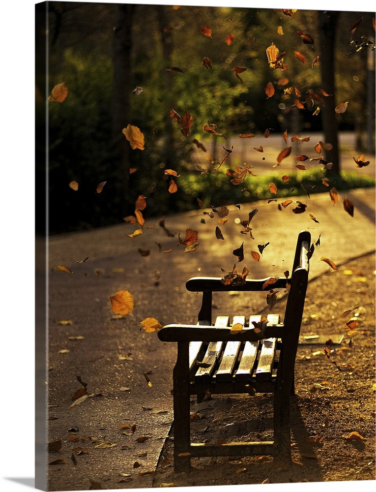 Fall leaves on park bench.