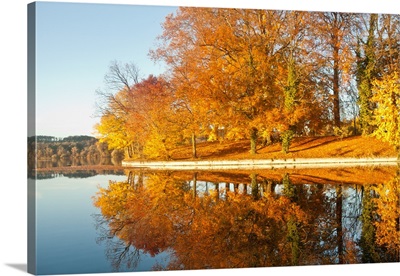 Fall reflection