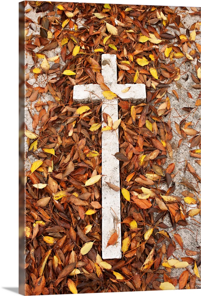 Fall colours of dying leaves surround a white  cross on the memorial stone of a grave, on the Isola di San Michele, (cemet...