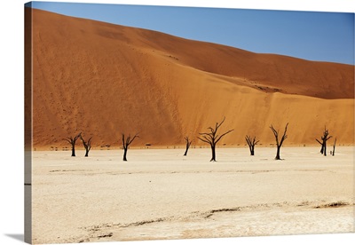 Famous Deadvlei with dead trees, Namibia, Africa