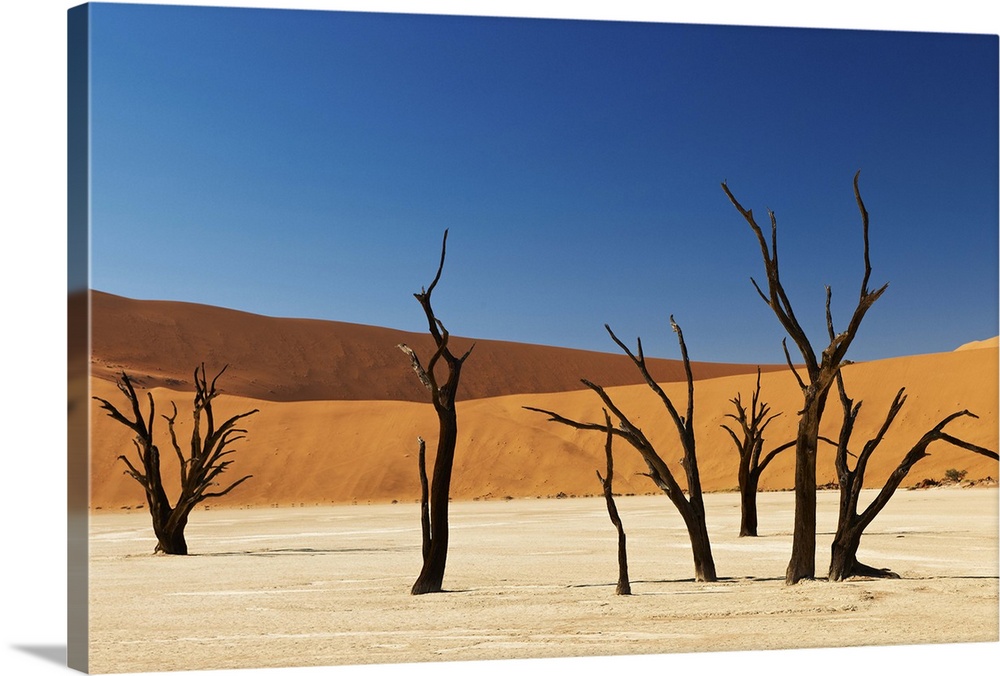 famous Deadvlei with dead trees, desert landscape of Namib at Sossusvlei, Namib-Naukluft National Park, Namibia, Africa