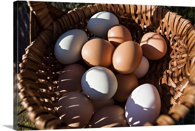 Farm fresh eggs in a basket