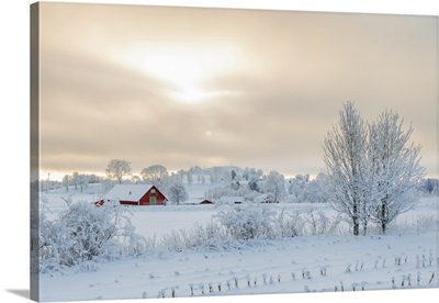 Farm In A Rural Winter Landscape With Snow And Frost