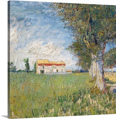 Farmhouse In A Wheat Field