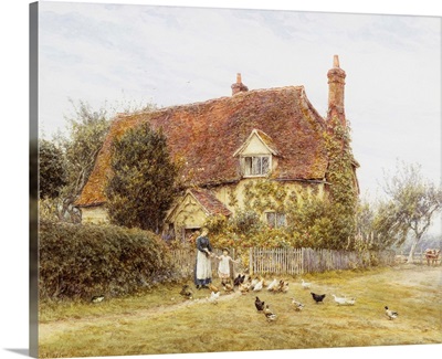 Feeding Poultry