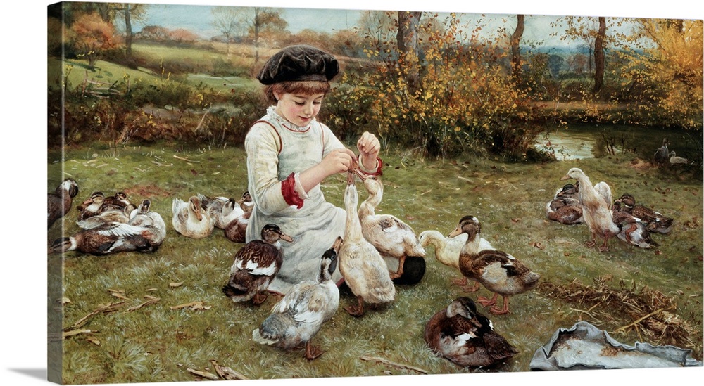 Feeding the Ducks