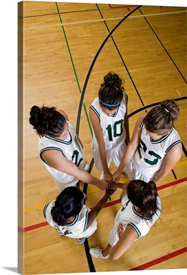 Female basketball team having group handshake, elevated view