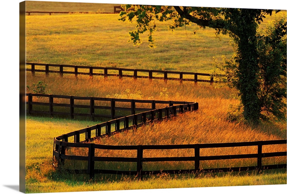 Fence on horse farm at sunrise, Versailles, Kentucky, USA