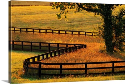 Fence on horse farm at sunrise, Versailles, Kentucky, USA