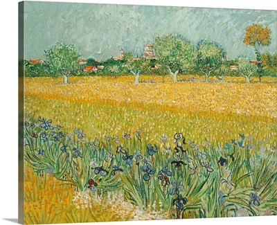 Field With Irises Near Arles