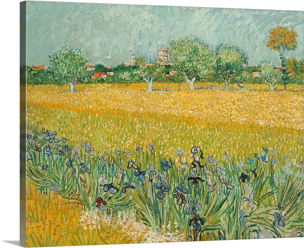 Vincent van Gogh (Dutch, 1853-1890), Field with Irises near Arles, 1888. Oil on canvas, 65 x 54 cm (25.6 x 21.3 in). Van G...