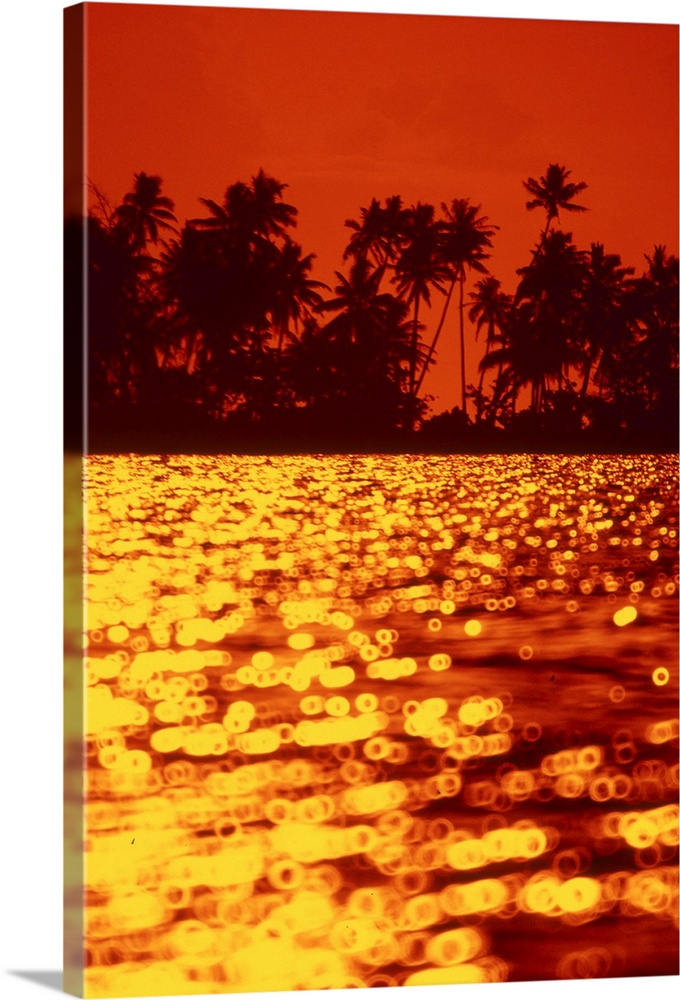 Fiery red and yellow reflection of sunset on the ocean, Palm trees silhoueeted by orange sky.