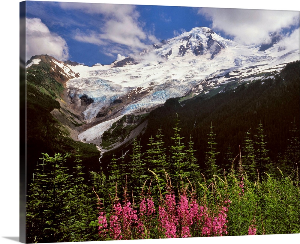 Glaciers on Mt. Baker in Mt. Baker-Snoqualmie National Forest, Washington