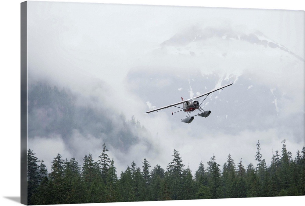 Floatplane banks while flying low over coastal rainforest along Rudyerd Bay on flightseeing tour on foggy morning.