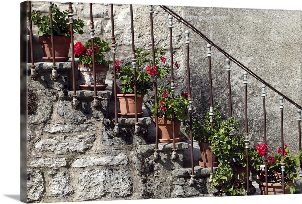 Flowering red geranium potplants, on the stairs on an old medieval house.