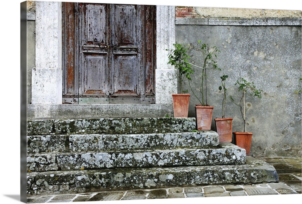 Flowerpots on front steps