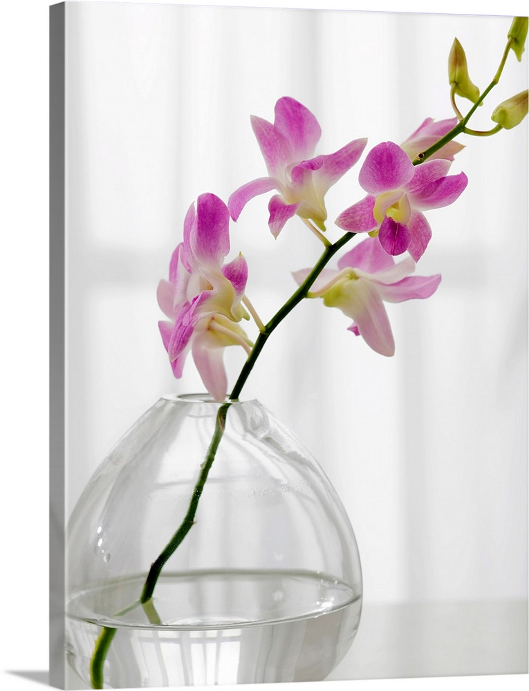 One stem of soft purple flowers sits in a glass vase in a bare room.