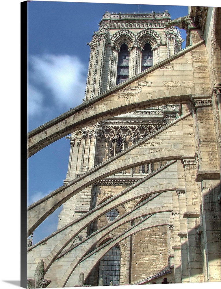 Flying buttresses and south tower ; Notre-Dame cathedral, Paris.