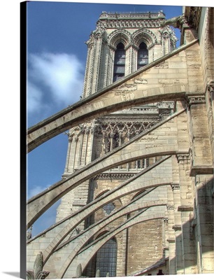 Flying buttresses, Cathedrale Notre-Dame, Paris