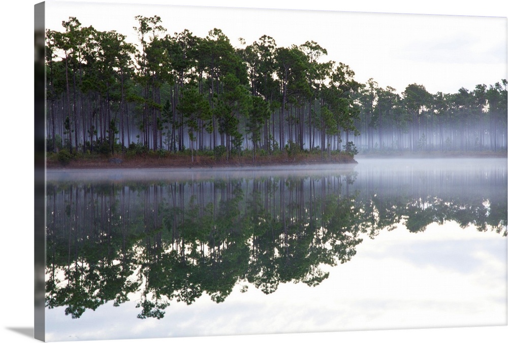 North America; USA; Florida; Everglades National Park;Fog over the lake in Long Pine area of Everglades NP