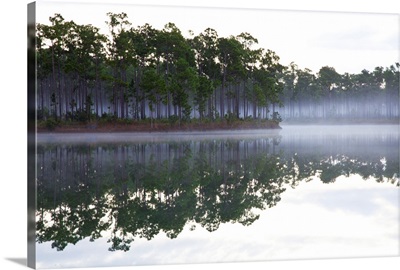 Fog over the lake in Long Pine area of the Everglades