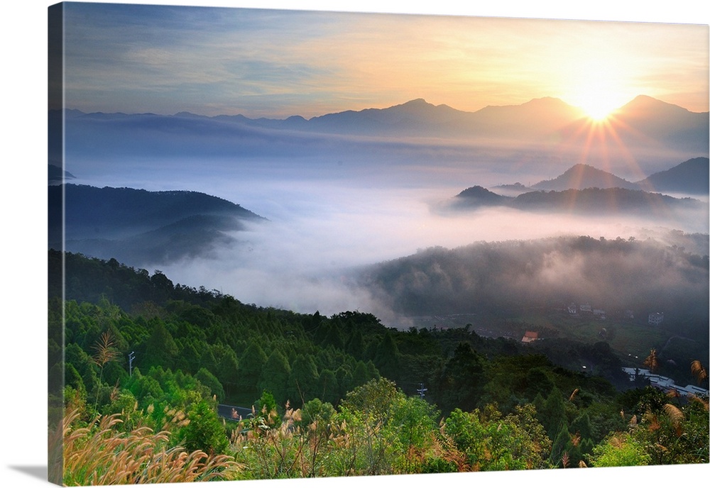 Long grass and foggy mountains at sunrise, Natou county, Taiwan.
