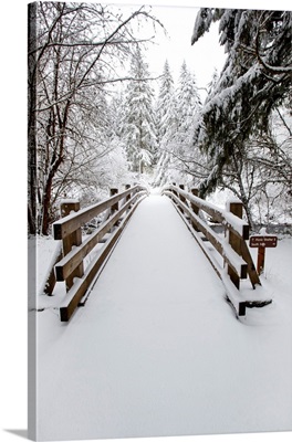 Footbridge Covered In Snow, Silver Falls State Park, Oregon