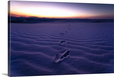 Footprint on dunes