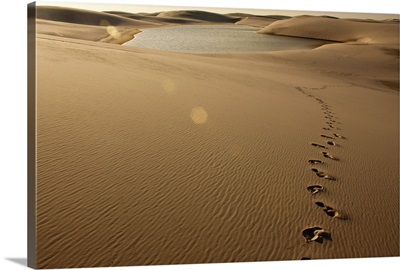 Footprint on sand dune in Barreirinhas, Brazil.