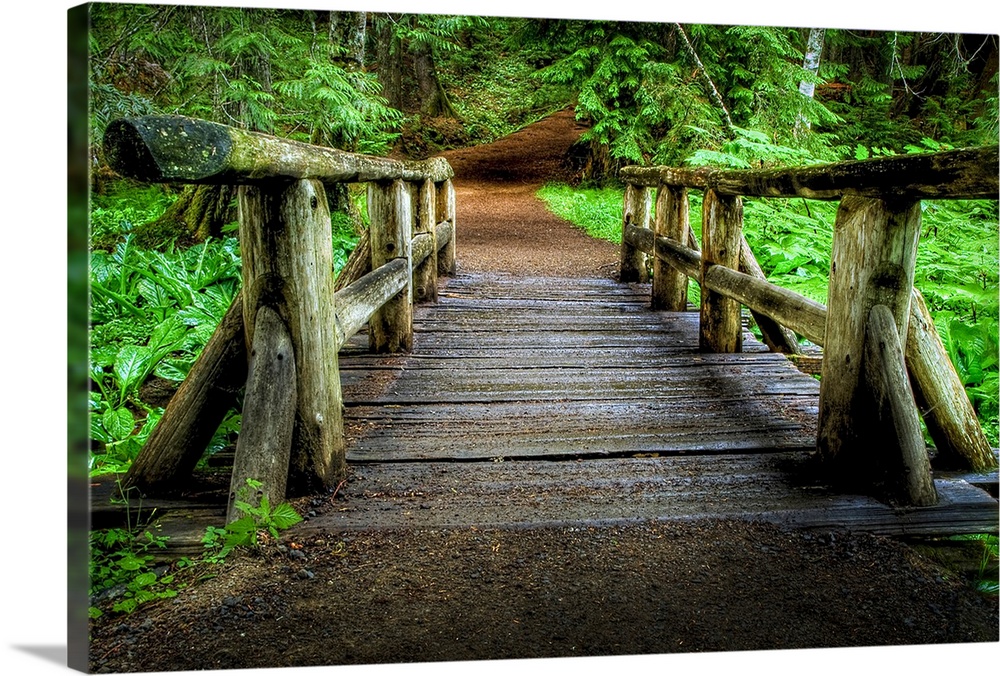 Rustic wooden footbridge in lush with green forest with path.