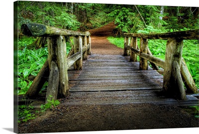 Forest foot bridge