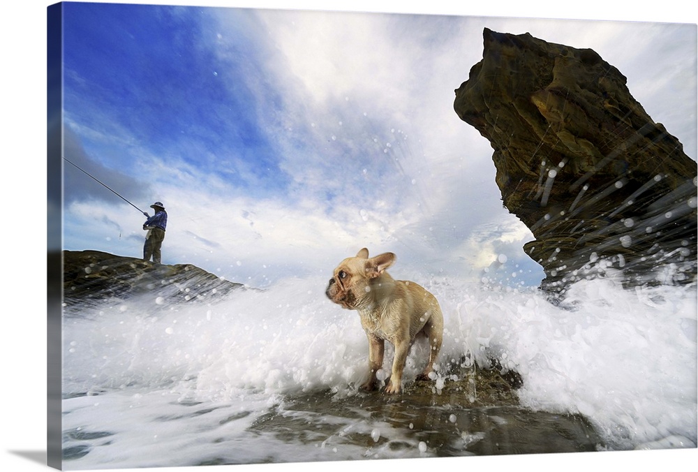 Splashing wave at sea and French bulldog standing in wave and man fishing standing on rock.
