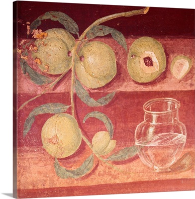 Fresco Of Water Pot And Fruit In Pompeii Kitchen