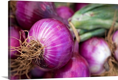 Fresh red onions at a New Jersey farmer's market.