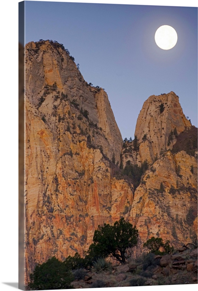 Full moon setting over the Towers Of The Virgin, Zion National Park, Utah. USA