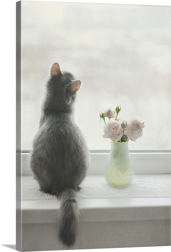 Furry car with flower vase rose pastel kitty at window sill waiting longing love tender vooky.