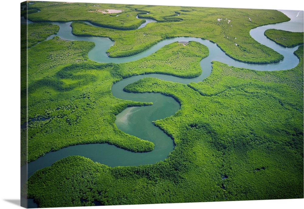 Aerial view of mangrove forest in Gambia taken by a drone from above.