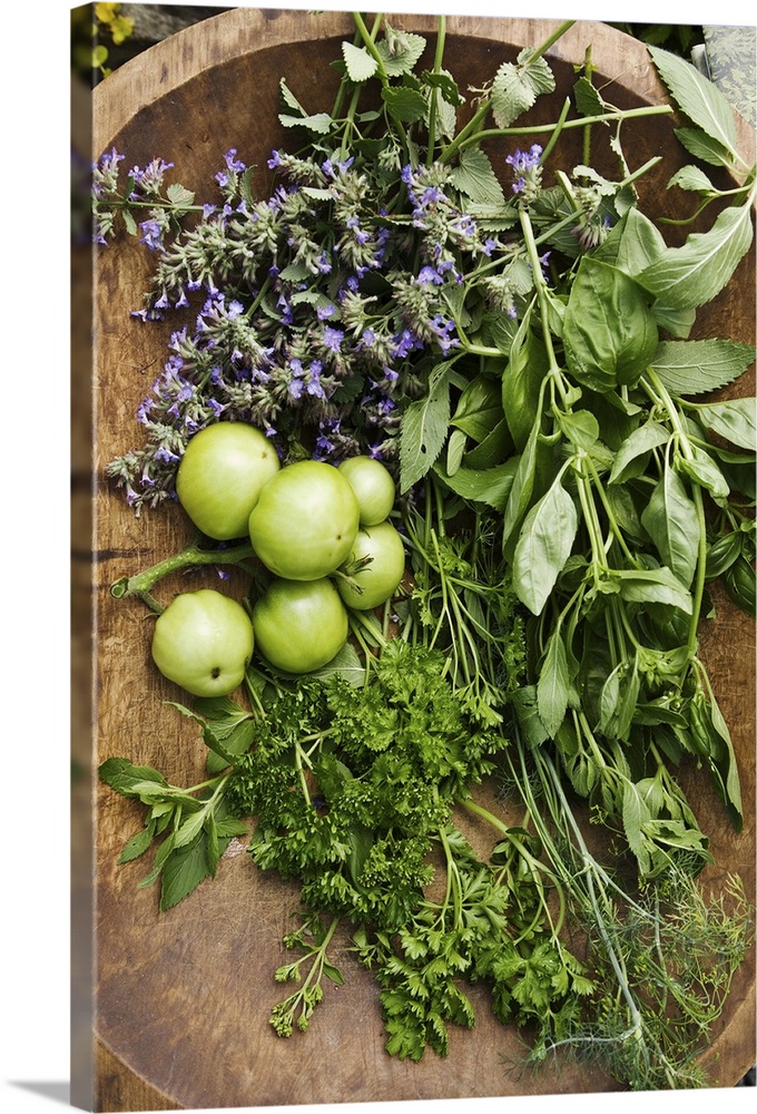 Rustic Wooden bowl with fresh herbs, basil, parsley, lavender, tomatoes, sage