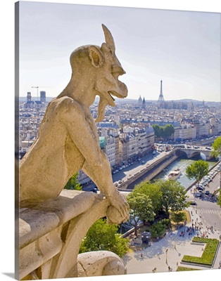 Gargoyle, View from Notre Dame, Paris