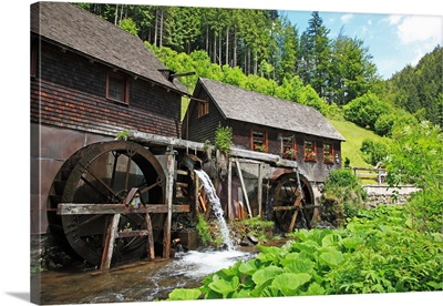 Germany, the Black Forest