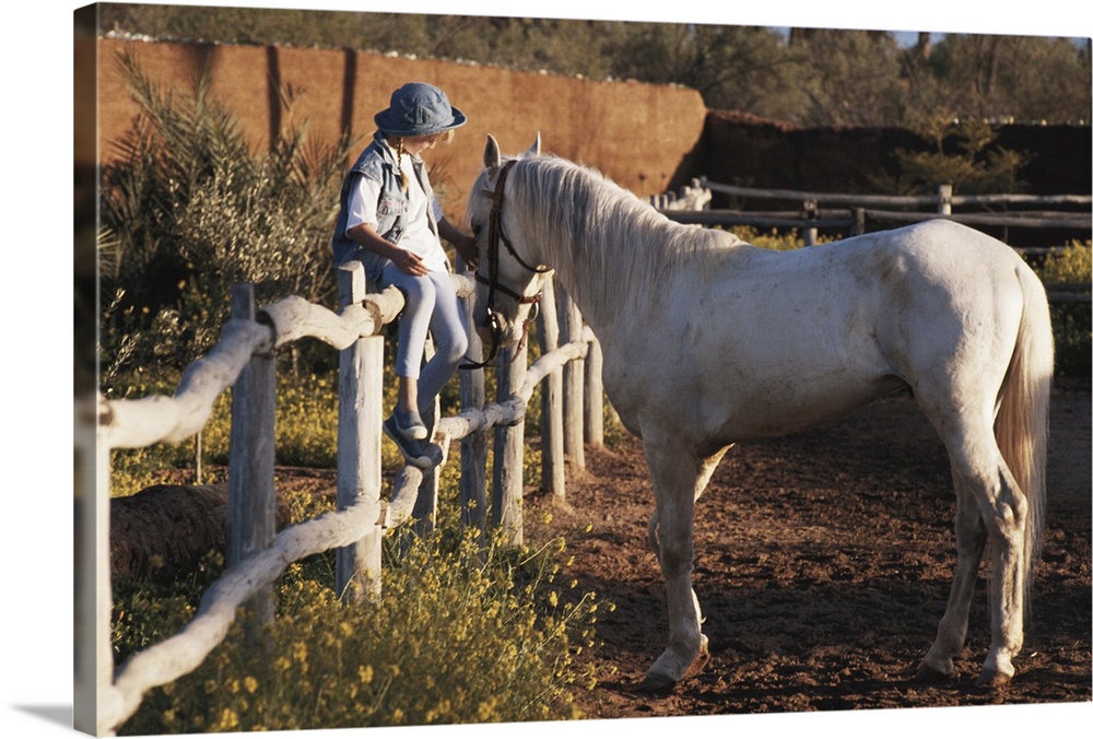 Girl (6-7) sitting on fence, patting horse
