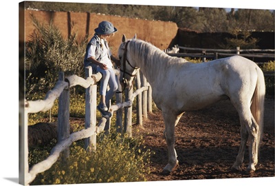 Girl sitting on fence, patting horse