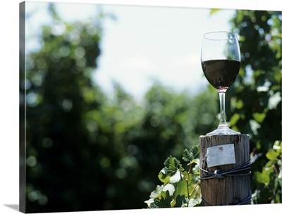 Glass of wine on post at end of vines