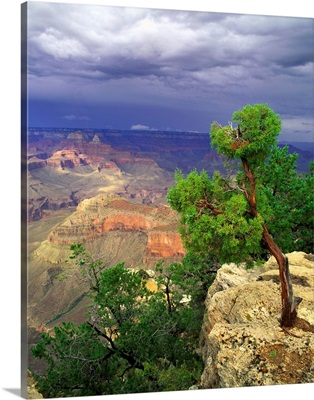 Grand Canyon National Park, Arizona, United States