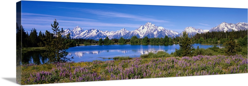 Grand Teton National Park