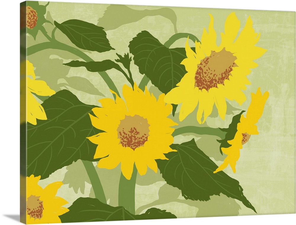 graphic handed painted style illustration of sunflowers