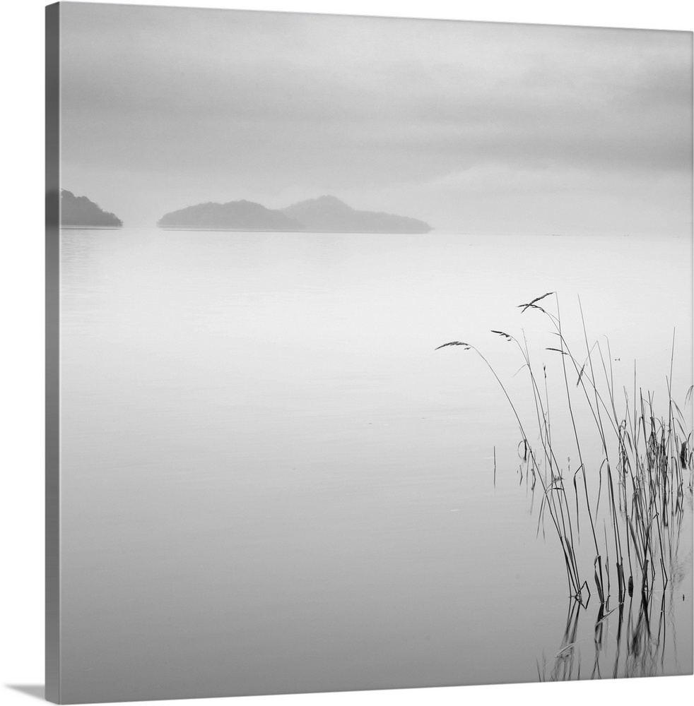 Black and white image of some grass and the morning mist over a pre-dawn Loch Lomond, Scotland.