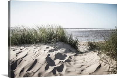 Grassy sand dunes on beach, Norfolk, UK