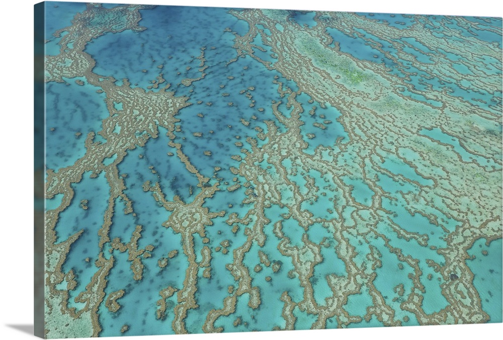 Aerial view of Great Barrier Reef, Queensland, Australia